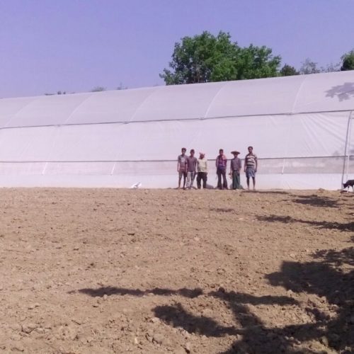 Greenhouse for farmer Cooperative with Internal shading and Irrigation